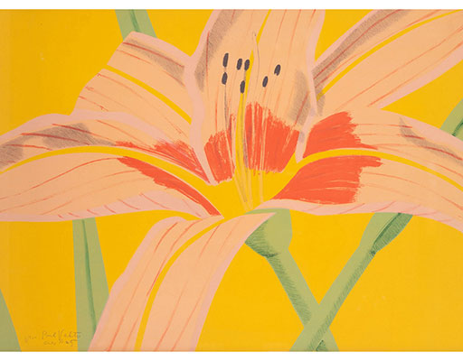 In unserer Galerie zum Verkauf angebotenes Bild von Alex Katz (Maler, Pop Art): Day Lily 2 (klein)